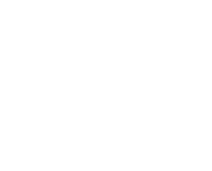 C1 Broker - Versicherungsmakler in Portugal