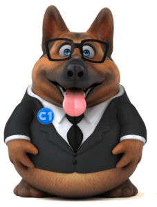 C1 Broker - Mascota Insurance Broker Portugal - International Insurance Brokers - Portugal - Algarve - Lisbon