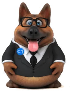 C1 Broker - Mascota Insurance Broker Portugal - International Insurance Brokers - Portugal - Algarve - Lisbon