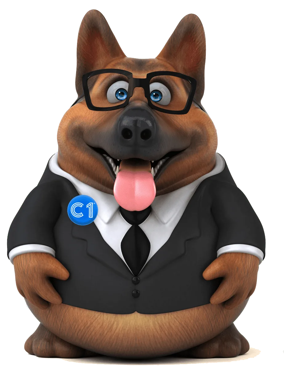 C1 Broker - Mascota Insurance Broker Portugal - International Insurance Brokers - Portugal - Algarve - Lisbon