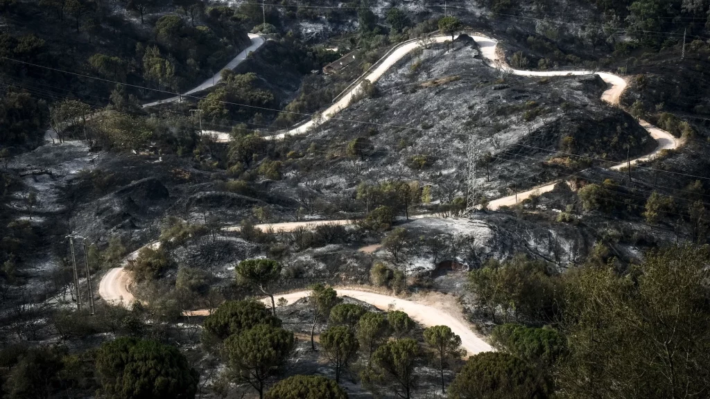 The Risk of Wildfires in Portugal and What You Can Do About It: Insure your property today