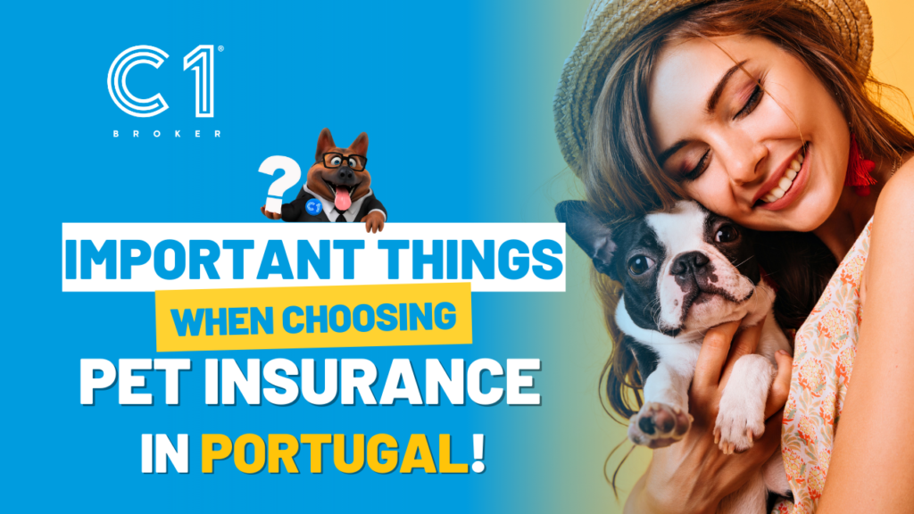 Important things you should know when choosing a Pet Insurance in Portugal!