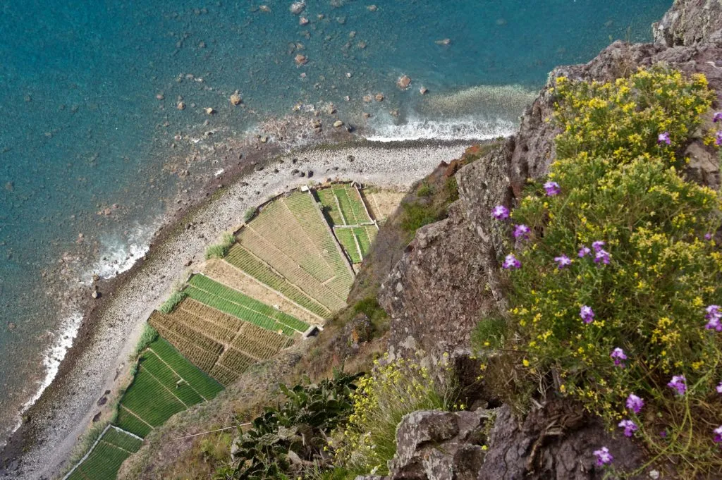 Health Insurance Madeira - C1 Broker