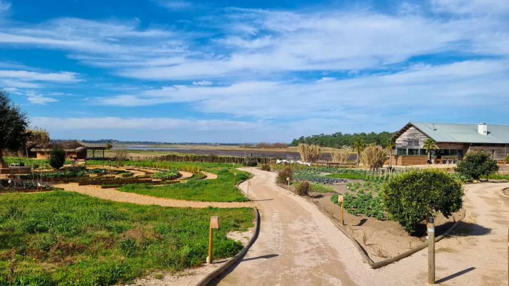 Seguros medicos privados comporta, carrasqueira, seguro saude comporta