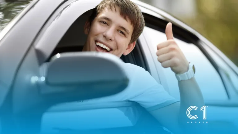 New Driving Licence Rules in the European Union What Expats Living in Portugal Need to Know