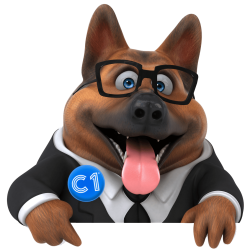 Reiseversicherung in Portugal