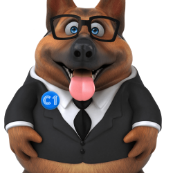 C1 Broker - Mascota Insurance Broker Portugal - International Insurance Brokers - Portugal - Algarve - Lisbon