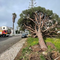 Tempestade Kirstin declarar sinistro seguro - C1 Broker Ajuda aos afetados - Leiria - Fatima - Pombal - Condeixa - Coimbra - Vale do Mondego - Figueira da Foz