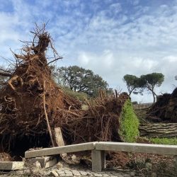 Tempestade Kirstin declarar sinistro seguro - C1 Broker Ajuda aos afetados - Leiria - Fatima - Pombal - Condeixa - Coimbra - Vale do Mondego - Figueira da Foz